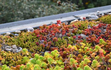the cost of Elliot green roof installation