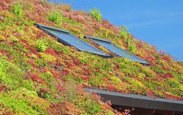 Elliot living roof systems