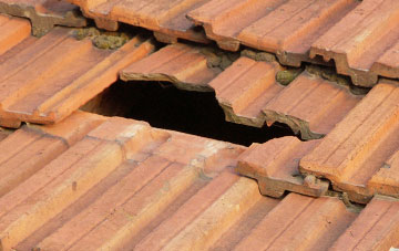 roof repair Elliot, Angus
